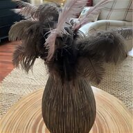 ostrich plumes for sale