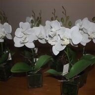 decorative flower pots for sale