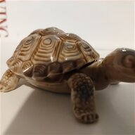 wade tortoise trinket for sale