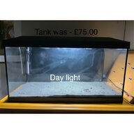 tube fish tank for sale