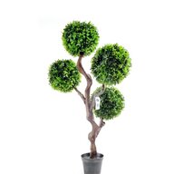spiral topiary tree for sale