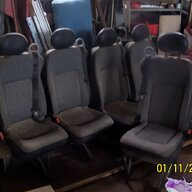 triumph seat belts for sale