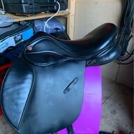saddle company 16 for sale