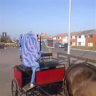 pony driving carts for sale