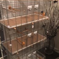 degu cage for sale