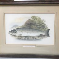 fly fishing paintings for sale