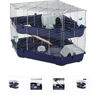 ferret homes for sale
