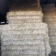barley straw for sale