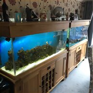 oak aquarium for sale