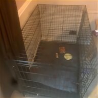 dog cage tray for sale