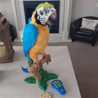 macaw parrot for sale