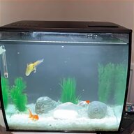 60 litre fish tank for sale