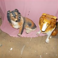 collie puppies for sale