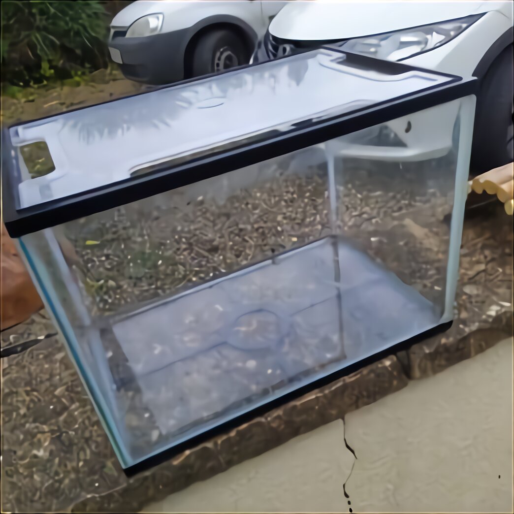 Fish Tank Lid for sale in UK | 95 used Fish Tank Lids
