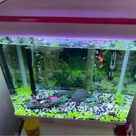 5 ft aquarium for sale
