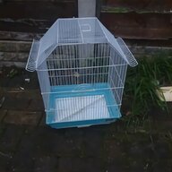 guinea pig run for sale