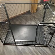 dog whelping for sale