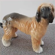 hound dog for sale