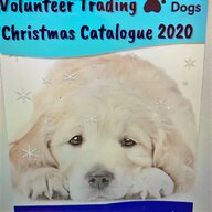 guide dog for sale
