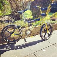 raleigh rapide for sale