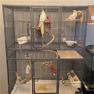 aviary wire for sale