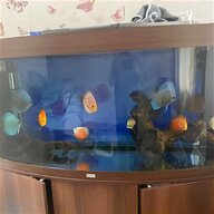 fluval heaters for sale