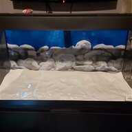white aquarium sand for sale