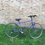 raleigh burner anniversary for sale