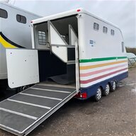 equi tidy for sale