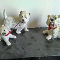westie terrier puppies for sale