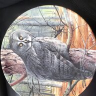 parrot plates for sale for sale