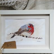 robin watercolour for sale