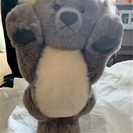 steiff koala for sale