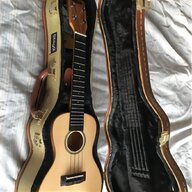 banjo ukulele case for sale