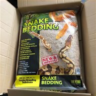 pet snakes for sale