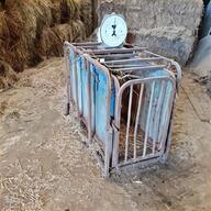 sheep weigh crate for sale