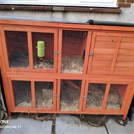 plastic chicken house for sale