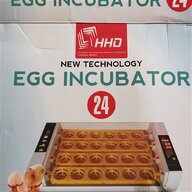 hatching eggs for sale