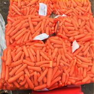 horse carrots for sale