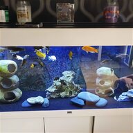 juwel fish tank pump for sale
