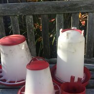 automatic chicken feeder for sale