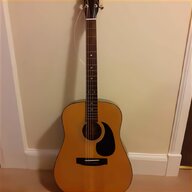 patrick eggle guitar for sale