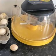 automatic egg incubator for sale