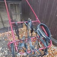 shetland cart for sale