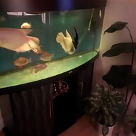 200 litre fish tank for sale