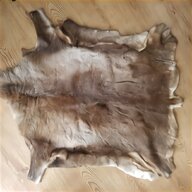 reindeer skin for sale