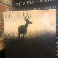 stag canvas for sale