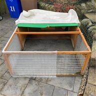 pig shelter for sale