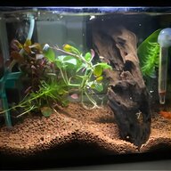 fluval fish tank for sale