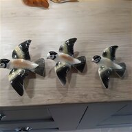taxidermy bird wings for sale